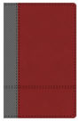 The KJV Study Bible Student Edition--Indexed (Gray/Maroon)