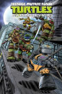 Teenage Mutant Ninja Turtles: New Animated Adventures, Volume 3