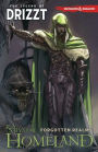 Dungeons & Dragons: The Legend of Drizzt, Volume 1: Homeland