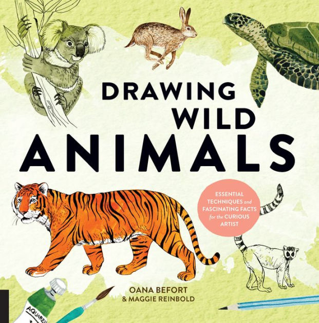 Drawing Wild Animals Essential Techniques And Fascinating Facts For The Curious Artist By Oana Befort Maggie Reinbold Paperback Barnes Noble