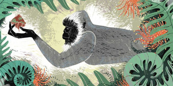 Ramayana: An Illustrated Retelling