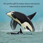 Alternative view 2 of The Breath of a Whale: The Science and Spirit of Pacific Ocean Giants