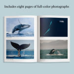 Alternative view 3 of The Breath of a Whale: The Science and Spirit of Pacific Ocean Giants