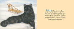 Alternative view 4 of Alaska's Dog Heroes: True Stories of Remarkable Canines