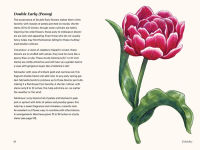 Alternative view 6 of Tulips: A Little Book of Flowers