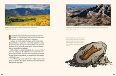 Alternative view 15 of A Dinosaur for Washington: The True Story of Suciasaurus