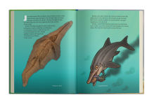 Alternative view 25 of A Dinosaur for Washington: The True Story of Suciasaurus