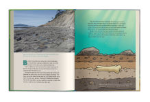 Alternative view 26 of A Dinosaur for Washington: The True Story of Suciasaurus