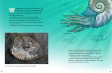 Alternative view 4 of A Dinosaur for Washington: The True Story of Suciasaurus