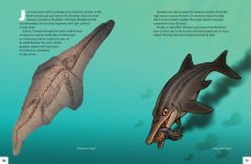 Alternative view 7 of A Dinosaur for Washington: The True Story of Suciasaurus