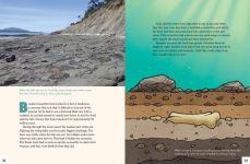 Alternative view 8 of A Dinosaur for Washington: The True Story of Suciasaurus