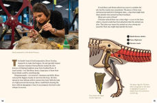 Alternative view 9 of A Dinosaur for Washington: The True Story of Suciasaurus