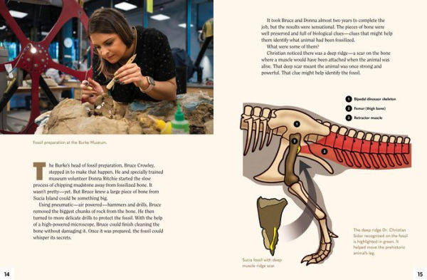 A Dinosaur for Washington: The True Story of Suciasaurus