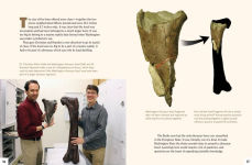 Alternative view 10 of A Dinosaur for Washington: The True Story of Suciasaurus