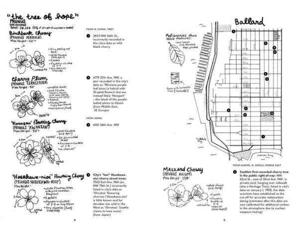 Street Trees of Seattle: An Illustrated Walking Guide