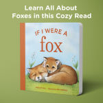 Alternative view 4 of If I Were a Fox: A Board Book for Toddlers Ages 1-3