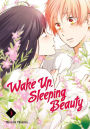 Wake Up, Sleeping Beauty, Volume 3