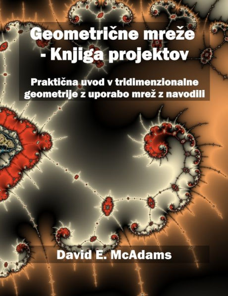 Geometrične mreze - Knjiga projektov: Praktična uvod v tridimenzionalne geometrije z uporabo mrez z navodili