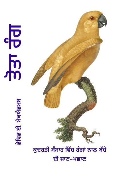 ਤੋਤਾ ਰੰਗ: ਕੁਦਰਤੀ ਸੰਸਾਰ ਵਿੱਚ ਰੰਗਾਂ ਨਾਲ ਬੱਚੇ ਦ&