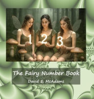 Title: The Fairy Number Book: Fairies introduce the numbers 0-12, Author: David E McAdams