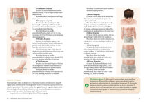 Alternative view 11 of A Beginner's Guide to Acupuncture: Treating Common Ailments through Traditional Chinese Medicine