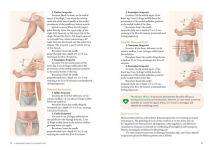 Alternative view 5 of A Beginner's Guide to Acupuncture: Treating Common Ailments through Traditional Chinese Medicine