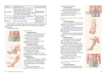 Alternative view 6 of A Beginner's Guide to Acupuncture: Treating Common Ailments through Traditional Chinese Medicine