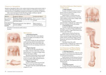 Alternative view 10 of A Beginner's Guide to Acupuncture: Treating Common Ailments through Traditional Chinese Medicine