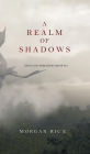 A Realm of Shadows (Kings and Sorcerers--Book 5)