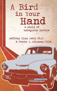 Title: A Bird In Your Hand: A Story of Ambiguous Justice, Author: Jeffrey Alan John
