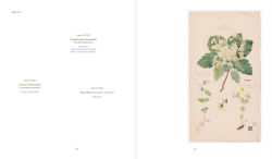 Alternative view 11 of Hilma af Klint: What Stands Behind the Flowers