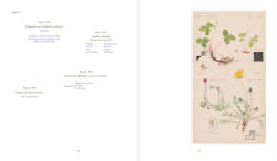 Alternative view 12 of Hilma af Klint: What Stands Behind the Flowers