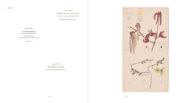 Alternative view 13 of Hilma af Klint: What Stands Behind the Flowers