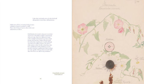 Hilma af Klint: What Stands Behind the Flowers