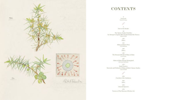 Hilma af Klint: What Stands Behind the Flowers