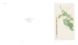 Alternative view 22 of Hilma af Klint: What Stands Behind the Flowers
