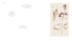 Alternative view 23 of Hilma af Klint: What Stands Behind the Flowers