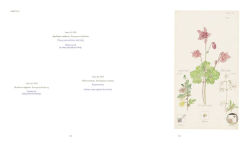 Alternative view 25 of Hilma af Klint: What Stands Behind the Flowers