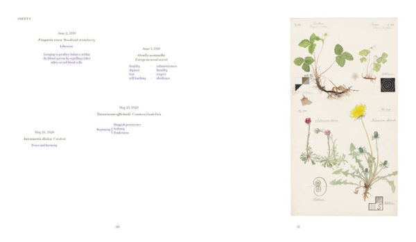 Hilma af Klint: What Stands Behind the Flowers