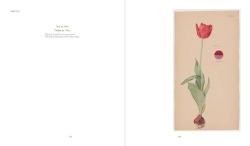 Alternative view 4 of Hilma af Klint: What Stands Behind the Flowers
