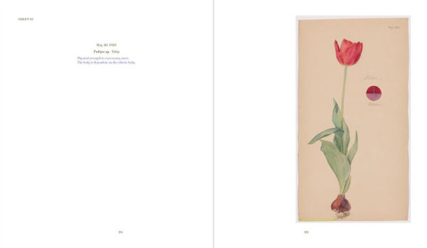 Hilma af Klint: What Stands Behind the Flowers