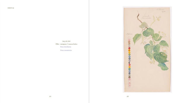 Hilma af Klint: What Stands Behind the Flowers