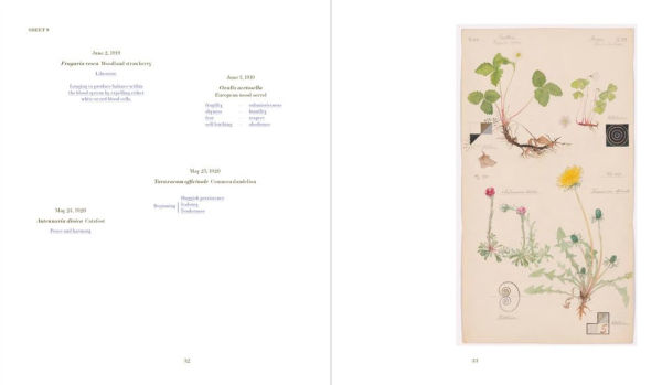 Hilma af Klint: What Stands Behind the Flowers