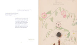 Alternative view 10 of Hilma af Klint: What Stands Behind the Flowers