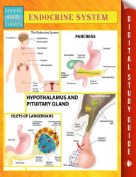 Title: Endocrine System Speedy Study Guides, Author: Speedy Publishing