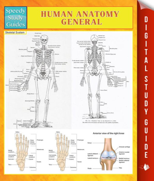 Human Anatomy General Speedy Study Guides