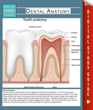 Title: Dental Anatomy (Speedy Study Guides), Author: Speedy Publishing