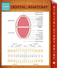 Title: Dental Anatomy: Speedy Study Guides, Author: Speedy Publishing