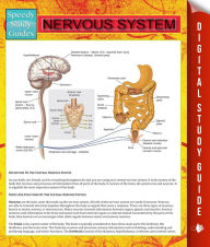 Title: Nervous System: Speedy Study Guides, Author: Speedy Publishing