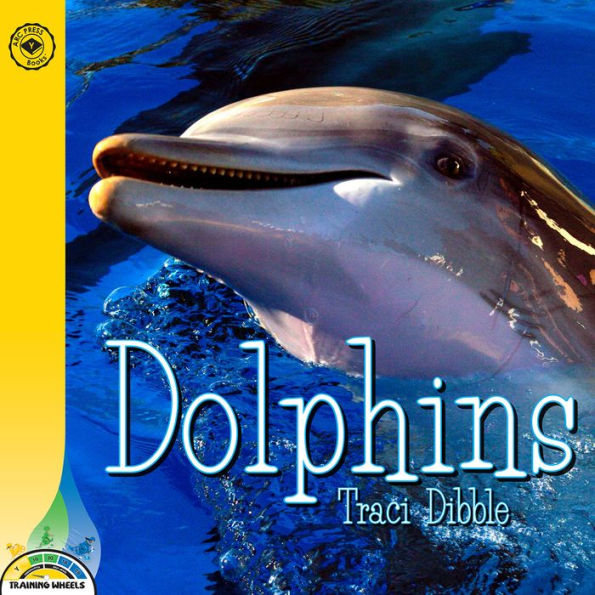 Dolphins